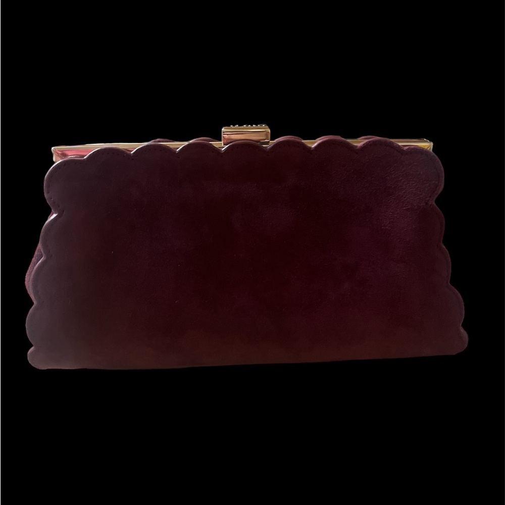 New Ted Baker Velvet/Suede Clutch